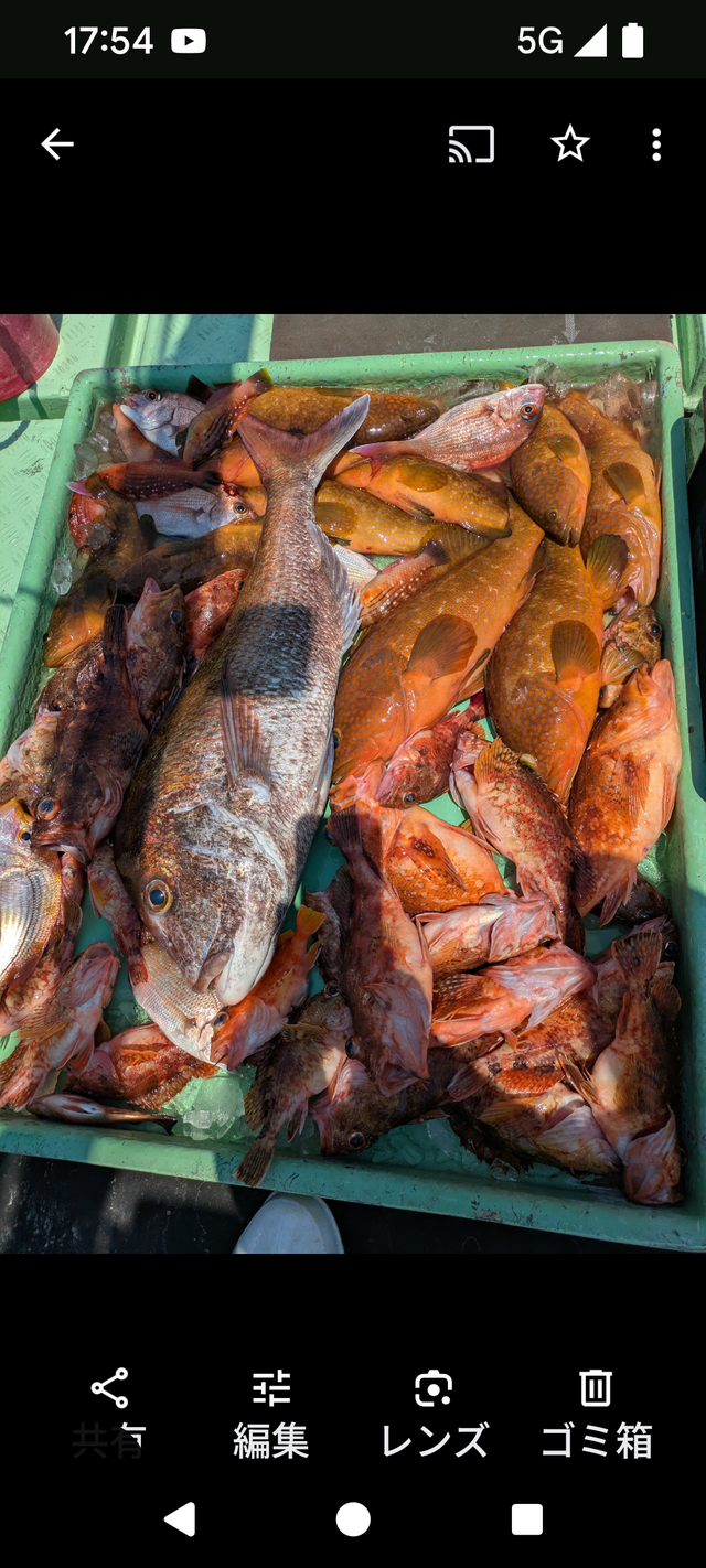 マダイ・アコウ(キジハタ)・アラカブ(カサゴ)