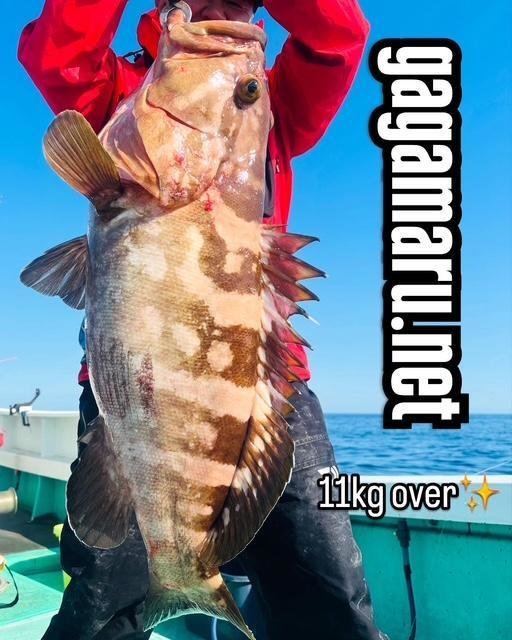 タカバ(マハタ)