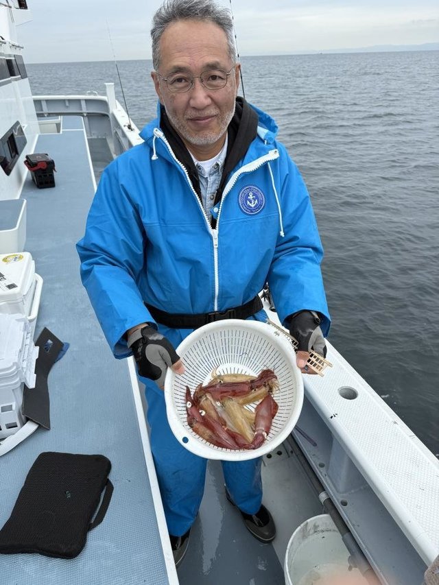 マルイカ(ケンサキイカ)