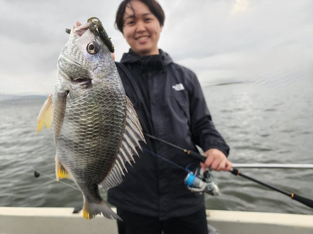 キビレ(キチヌ)