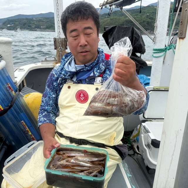 ムギイカ(スルメイカ)