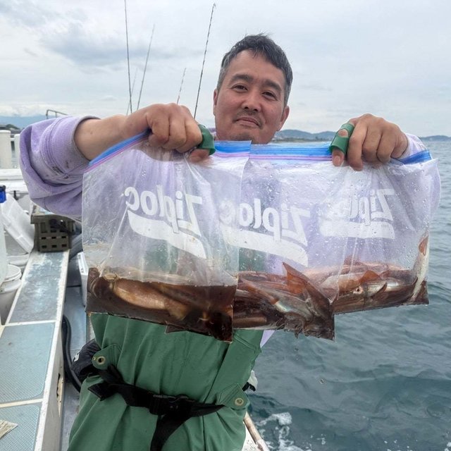 ムギイカ(スルメイカ)