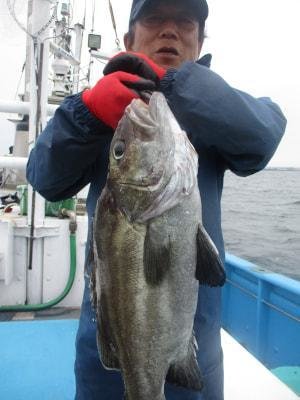 イシナギ(オオクチイシナギ)