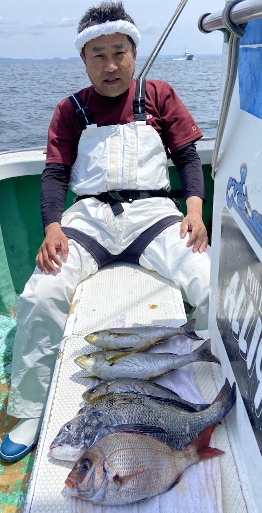 マダイ・クロダイ・イサキ