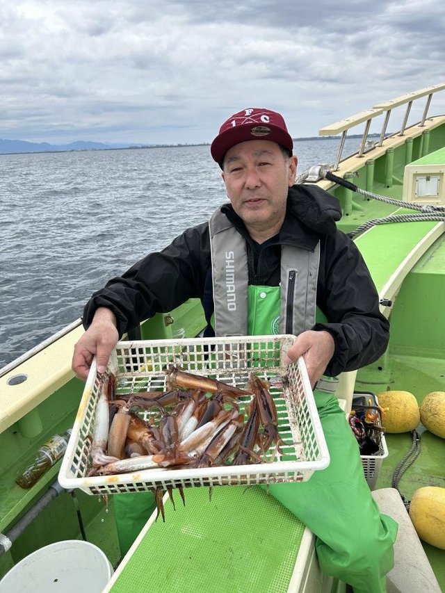 ムギイカ(スルメイカ)