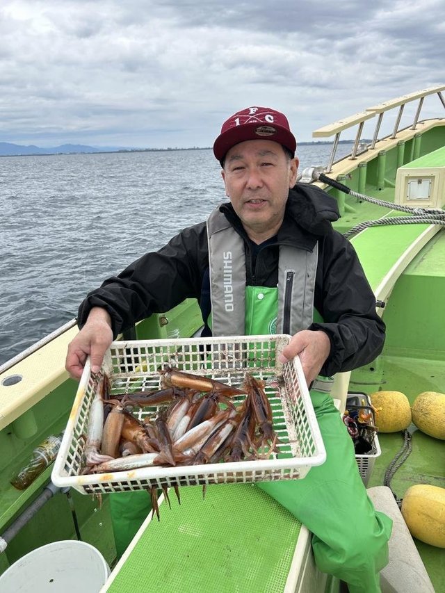 ムギイカ(スルメイカ)