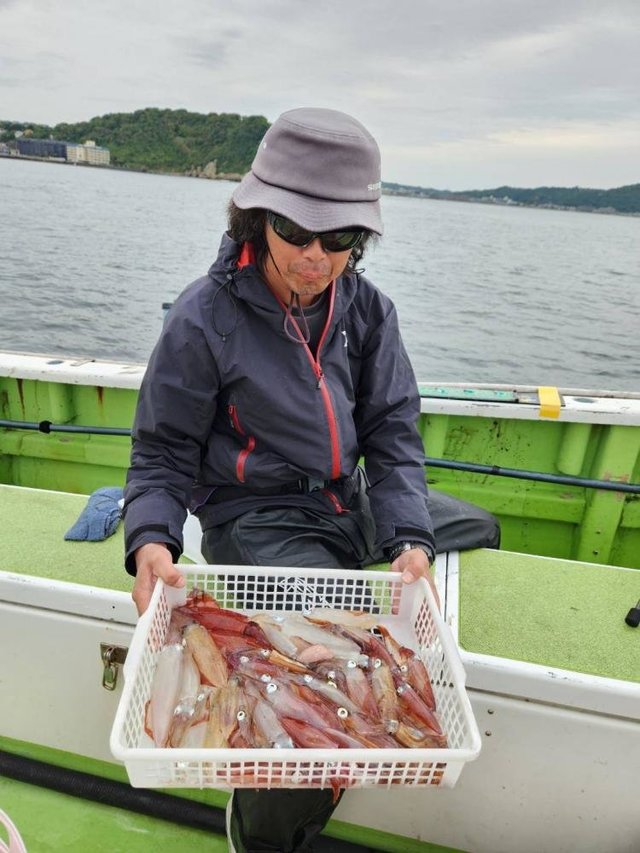 マルイカ(ケンサキイカ)