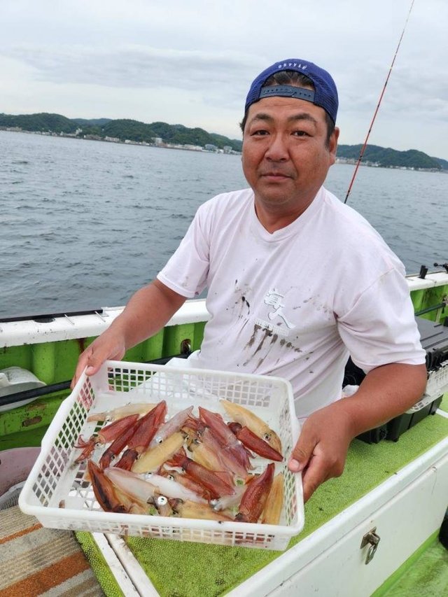 マルイカ(ケンサキイカ)