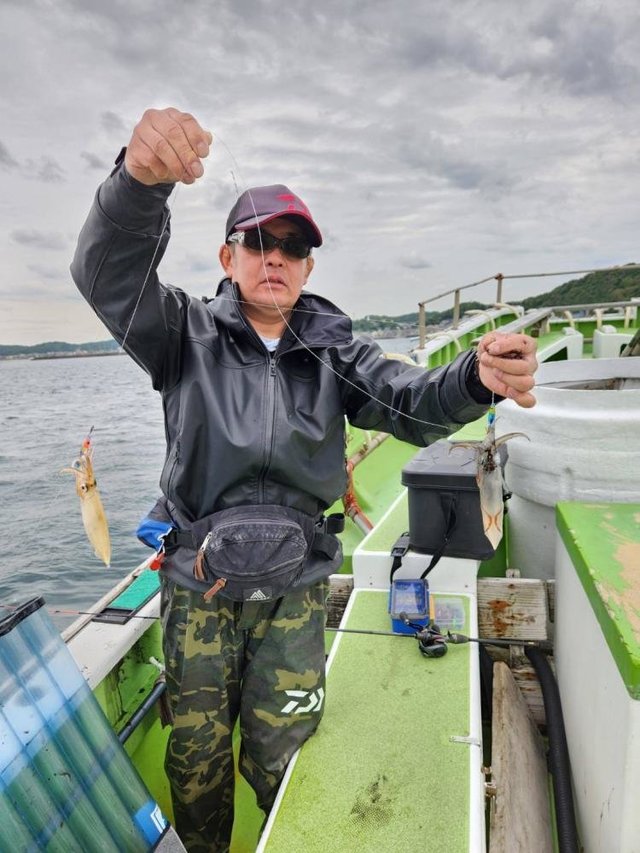 マルイカ(ケンサキイカ)