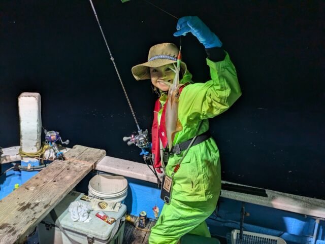 マイカ(ケンサキイカ)