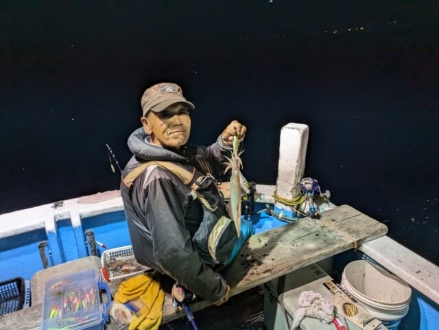 マイカ(ケンサキイカ)