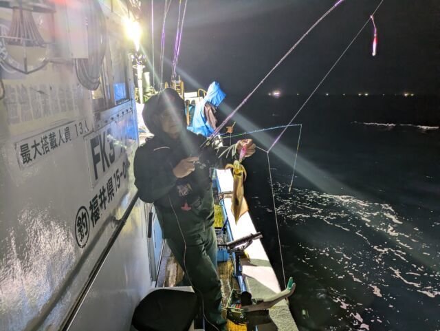 マイカ(ケンサキイカ)