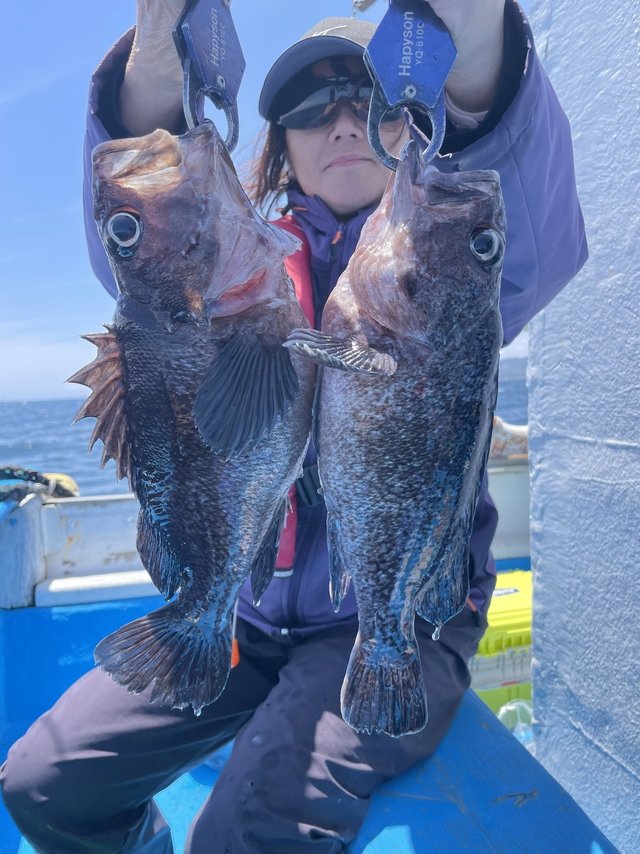 マゾイ(キツネメバル)