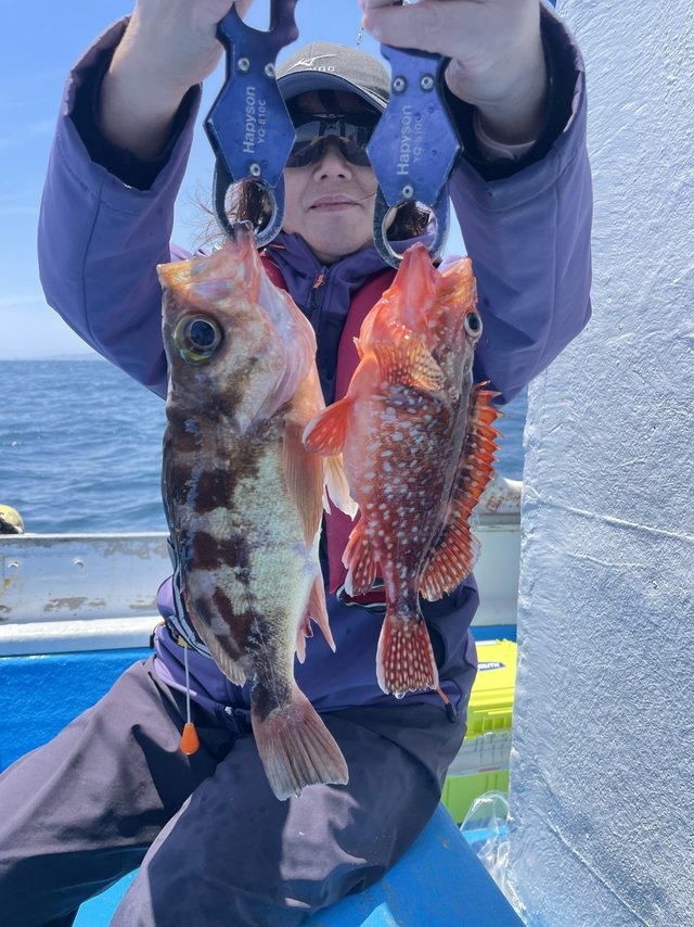 カサゴ・メバル