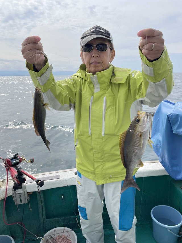 イサギ(イサキ)