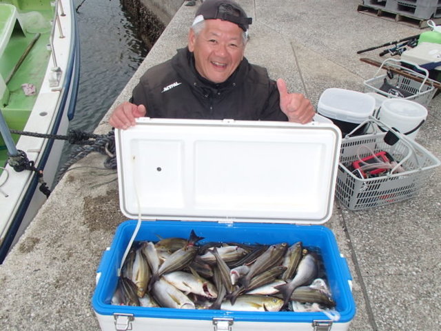 マアジ・イサキ