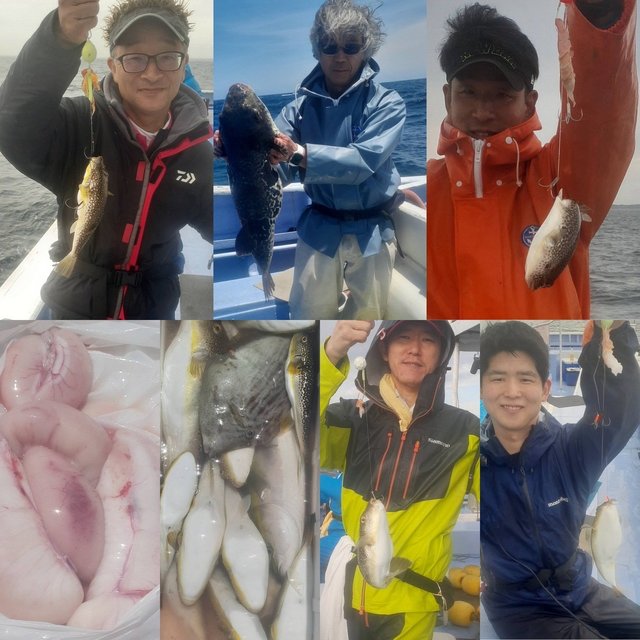 ショウサイフグ