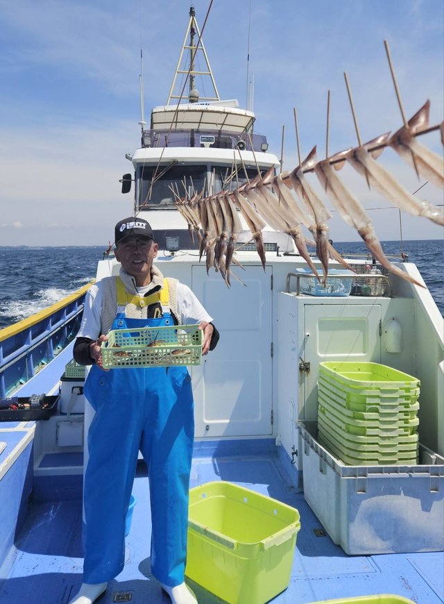 ムギイカ(スルメイカ)