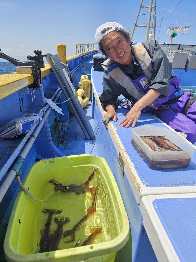 ムギイカ(スルメイカ)