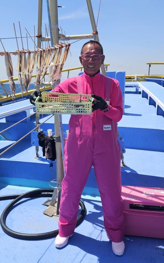 ムギイカ(スルメイカ)