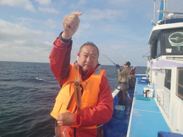 ムギイカ(スルメイカ)