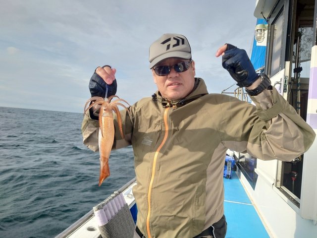 ムギイカ(スルメイカ)