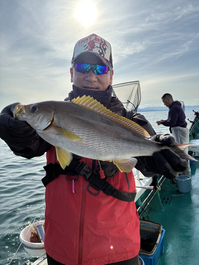 イサギ(イサキ)