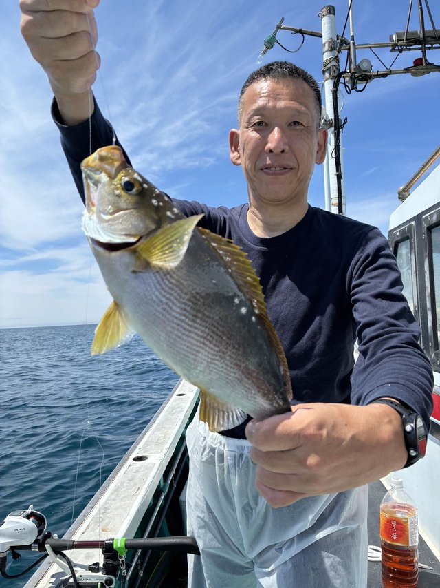 イサギ(イサキ)