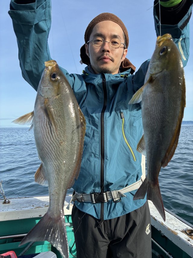 イサギ(イサキ)