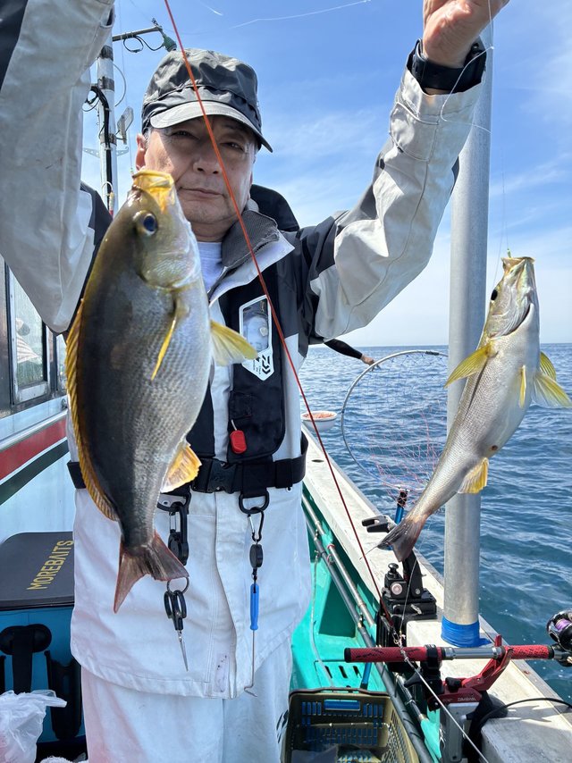 イサギ(イサキ)