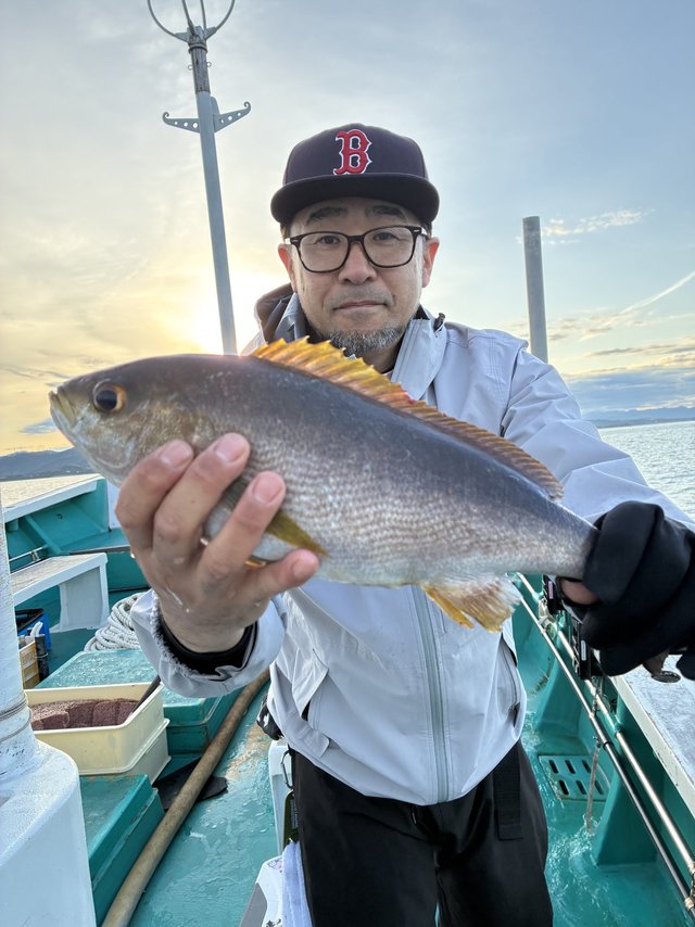 イサギ(イサキ)