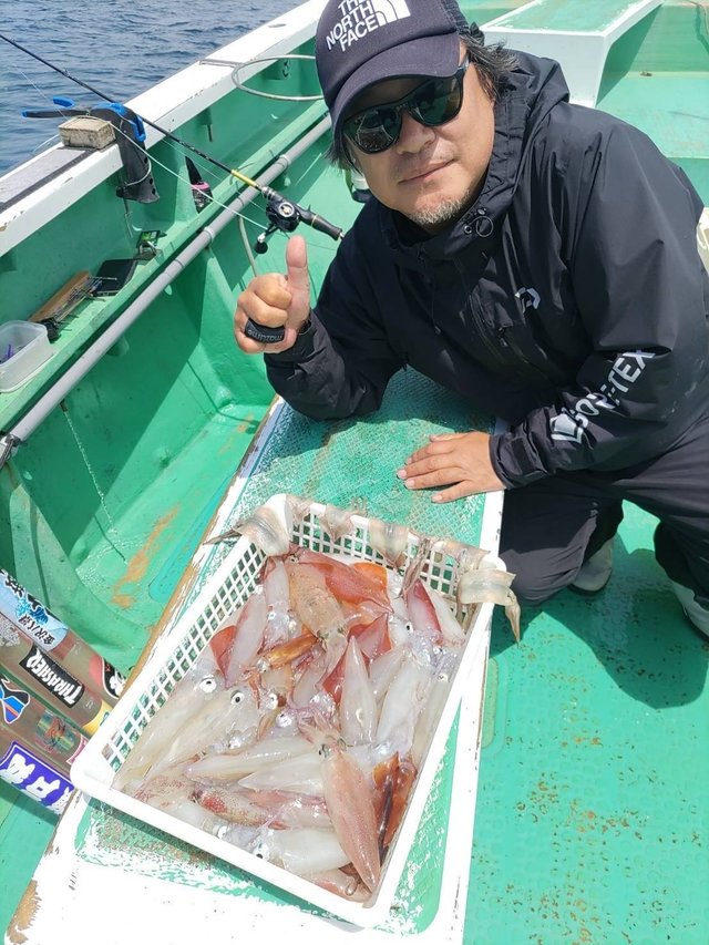 マルイカ(ケンサキイカ)