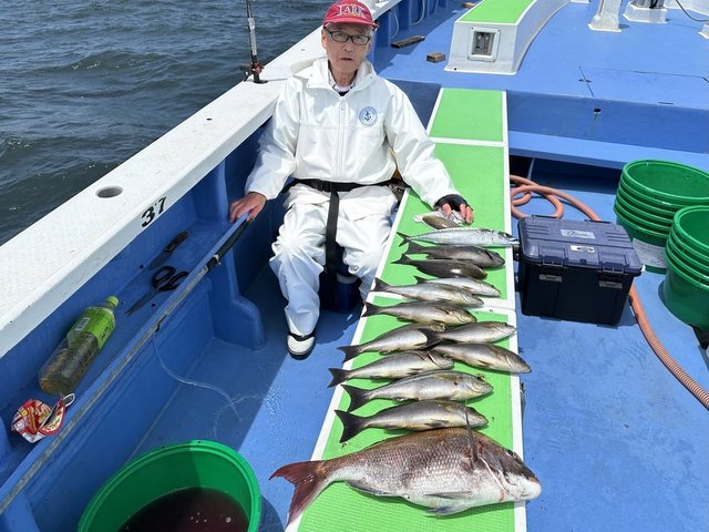 マダイ・クロダイ・メジナ・イサキ