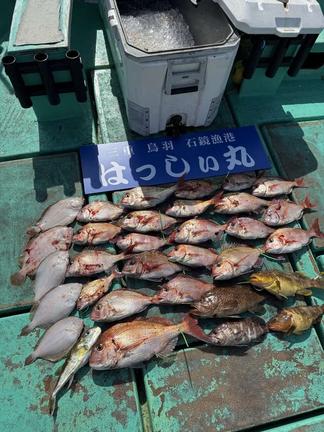 タイ(マダイ)・マハタ・アオハタ・オオモンハタ・ガンゾウヒラメ(ガンゾウビラメ)