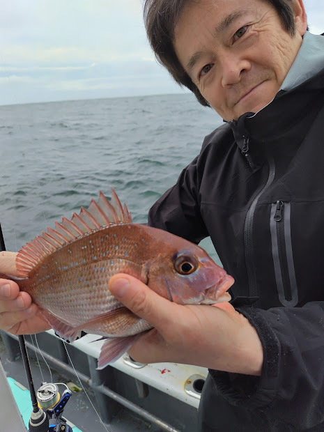 チャリコ(マダイ)