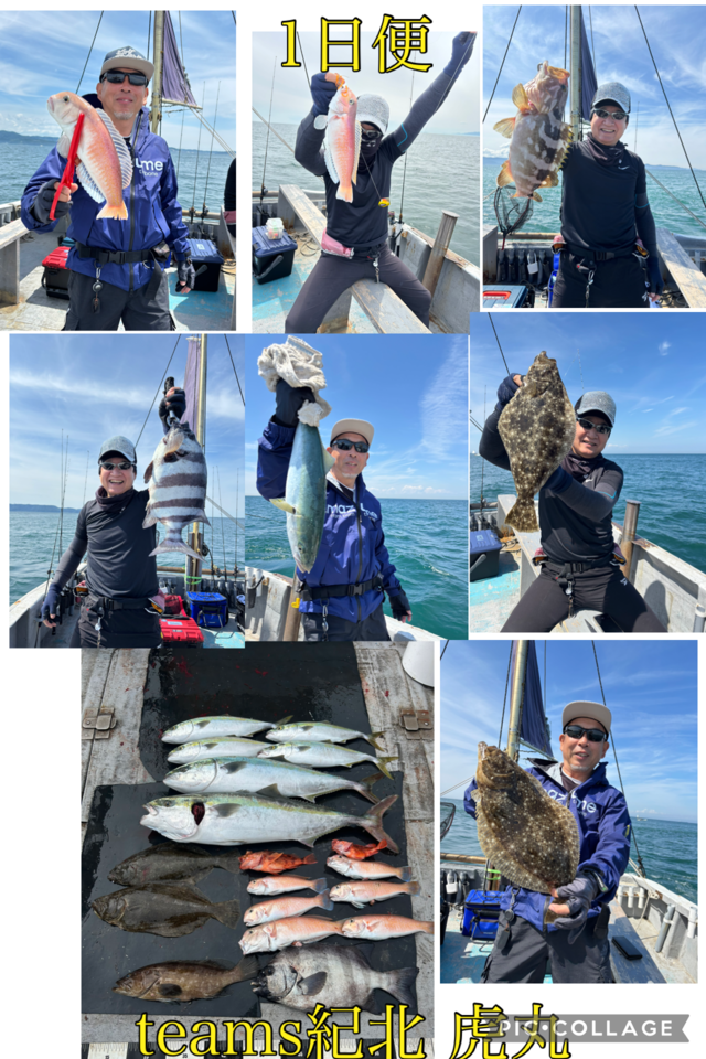 イシダイ・クエ・ブリ・ハマチ(ブリ)・シロアマダイ・ガシラ(カサゴ)・ヒラメ