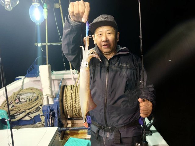 マイカ(ケンサキイカ)