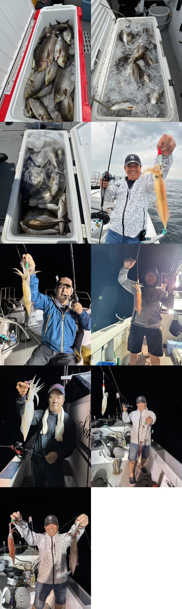 イサキ・イカ(ヤリイカ)