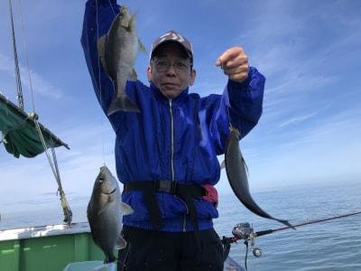 イサギ(イサキ)