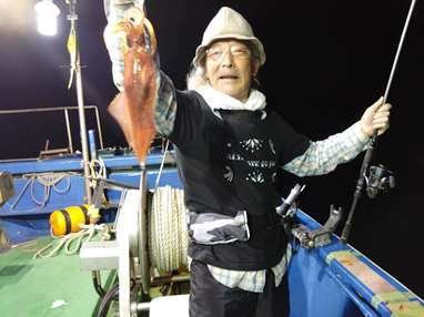 マイカ(ケンサキイカ)