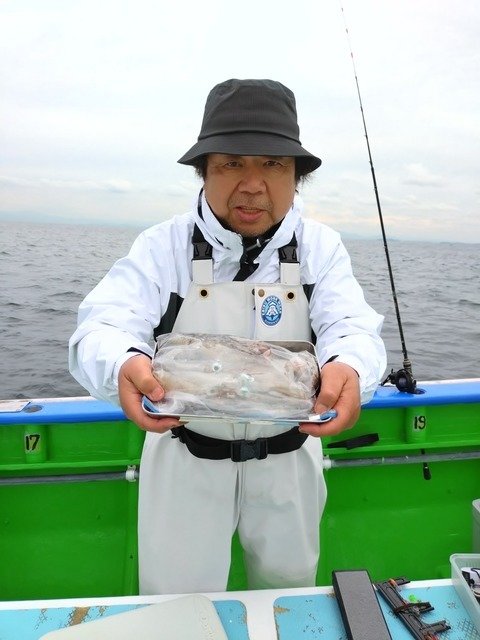 マルイカ(ケンサキイカ)