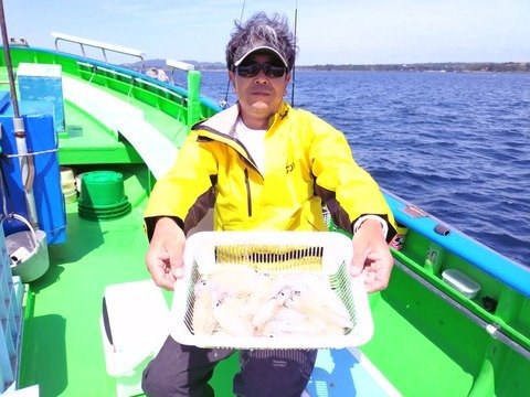 マルイカ(ケンサキイカ)