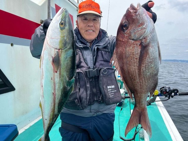 マダイ・ワラサ(ブリ)