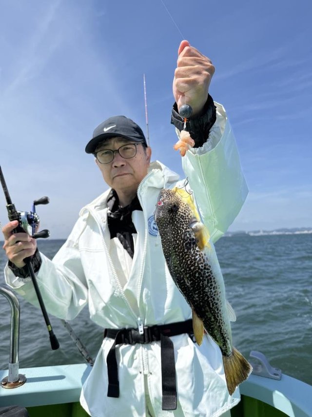 ショウサイフグ