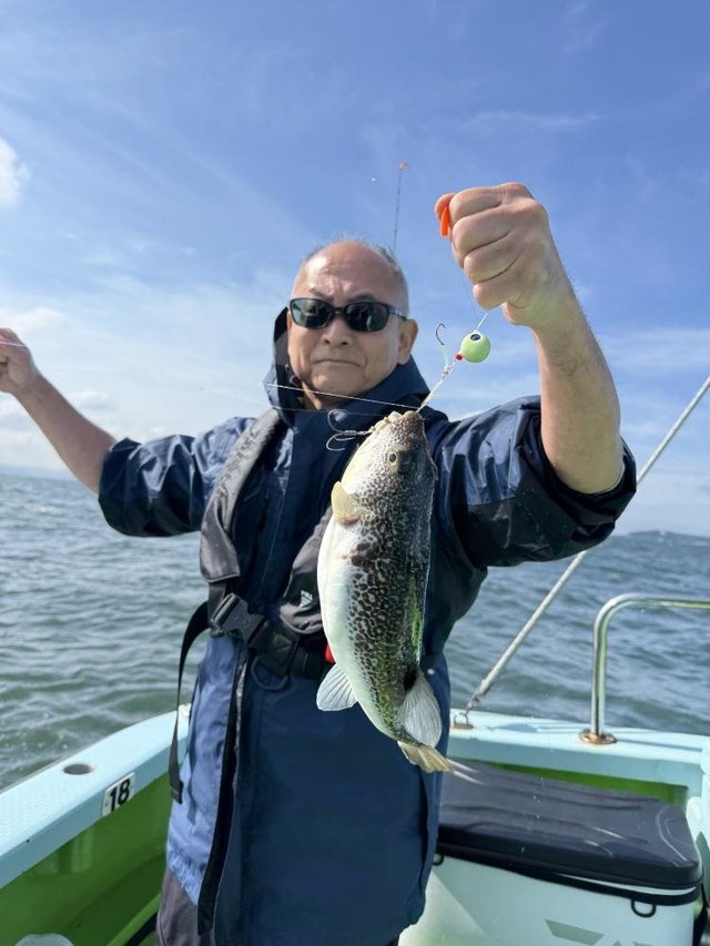 ショウサイフグ