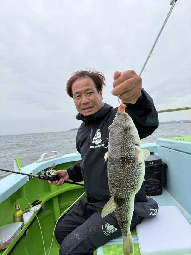 フグ(ショウサイフグ)