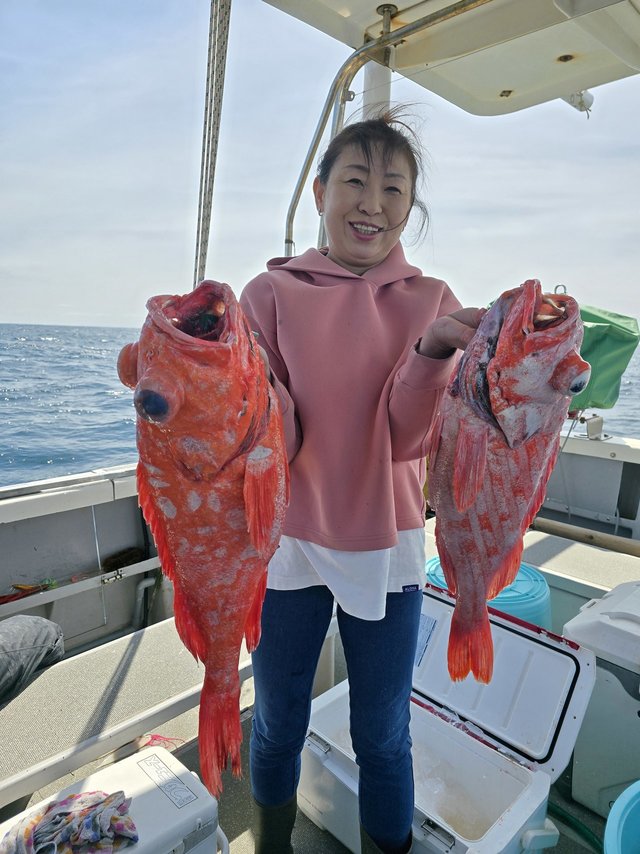 ベニアコウ(オオサガ)