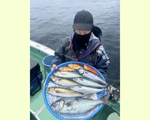 シキシマハナダイ・アジ(マアジ)・サバ(マサバ)・メダイ・オキメバル(トゴットメバル)・ソーダガツオ(マルソウダ)