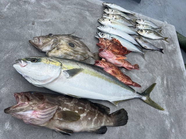 クエ・ブリ・マトウダイ