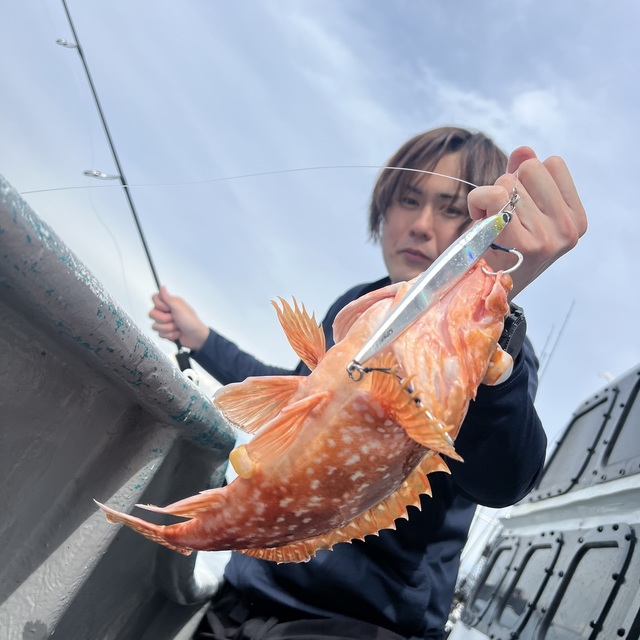 ウッカリカサゴ